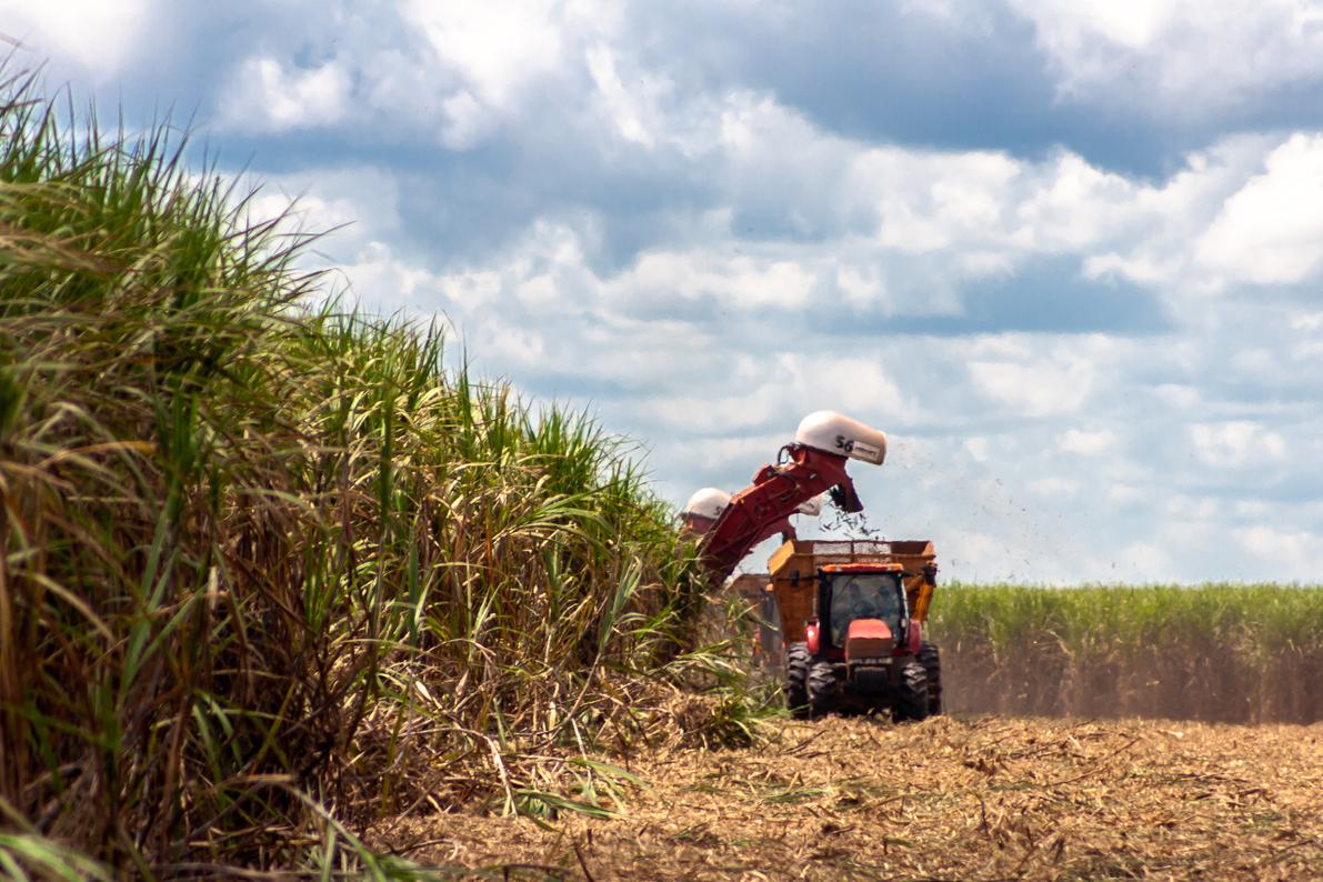 Automação no campo: como funciona e principais vantagens