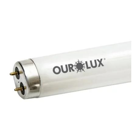Lâmpada Fluor 32W T8 6400K Ourolux (01029)