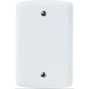 Polar Placa Cega 2X4 Branco (1702001) (cx20)